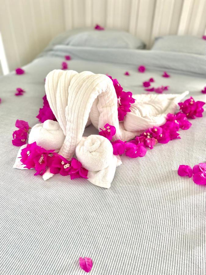 Eleuthera Retreat - Villa & Cottages On Pink Sand Beachfront Palmetto Point 外观 照片