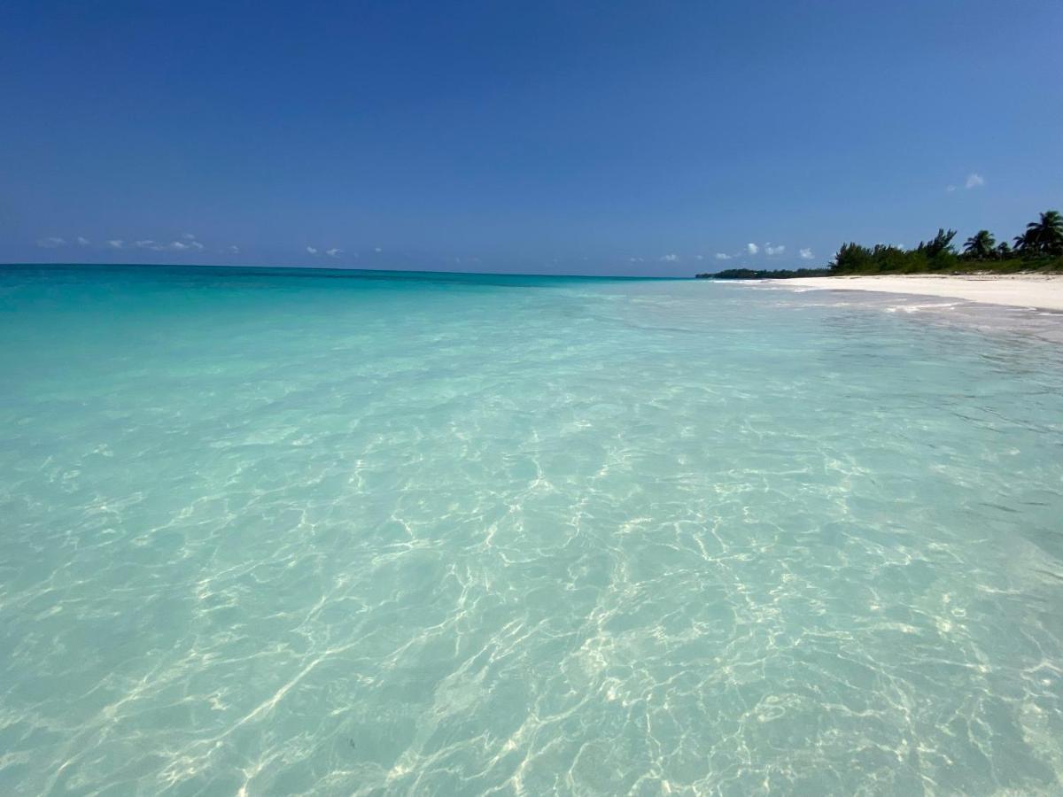 Eleuthera Retreat - Villa & Cottages On Pink Sand Beachfront Palmetto Point 外观 照片