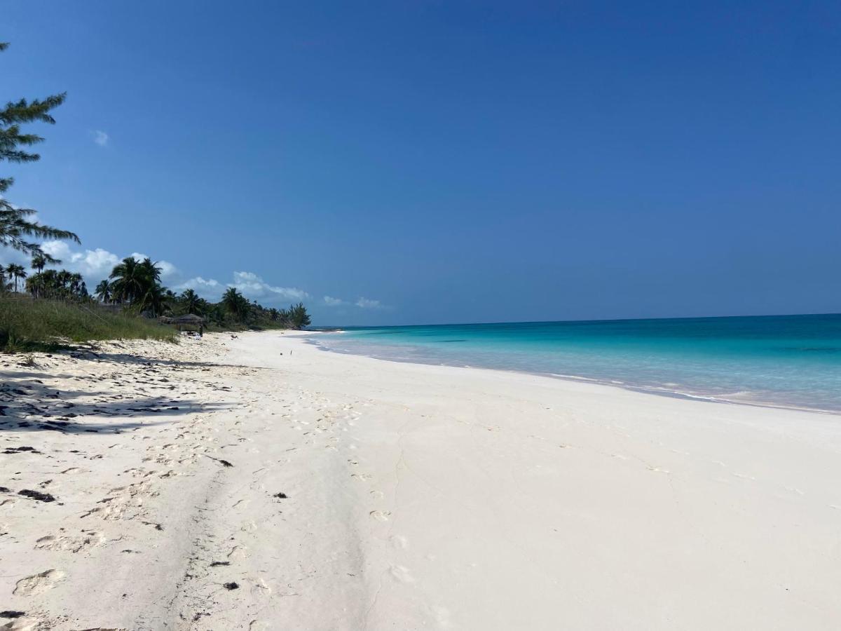 Eleuthera Retreat - Villa & Cottages On Pink Sand Beachfront Palmetto Point 外观 照片